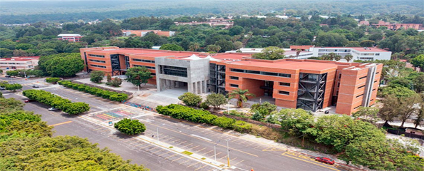 Portfolio Image